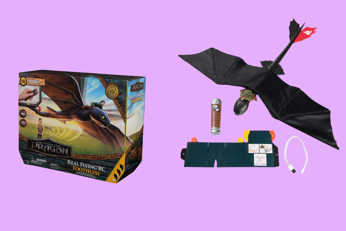 rang-sun-bay-luon-rc-mo-hinh-rong-dieu-khien